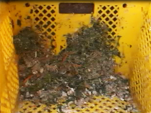 ���������̗���@���̂S�̎ʐ^�ł��B